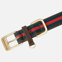 william-walker-florence-leder-hundehalsband-limited-crazy-horse-leather-braun image 3