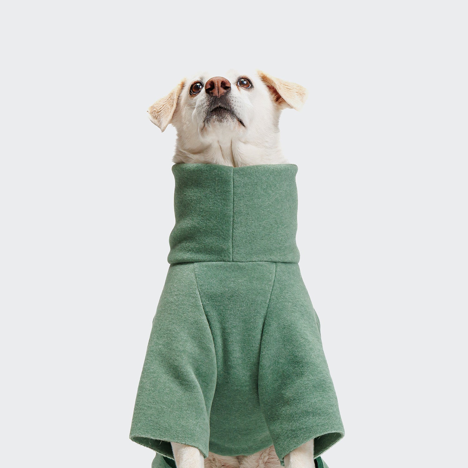 cloud7-cornwall-fleece-hundepullover-dusty-green image 5