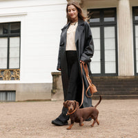 william-walker-prestige-bundle-konfigurator-walking-set image 2
