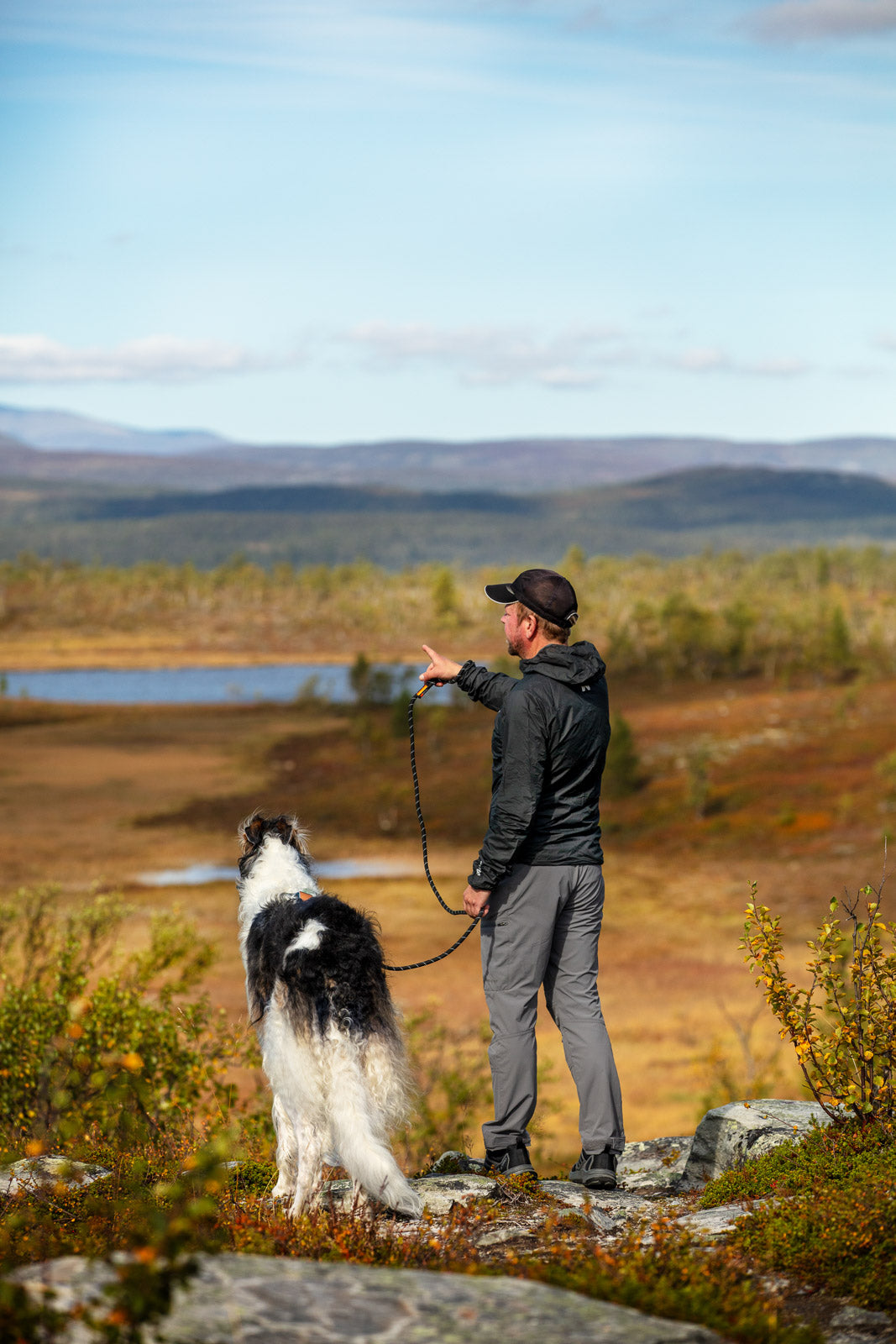non-stop-dogwear-trail-quest-hose-herren-m-softshellhose image 4