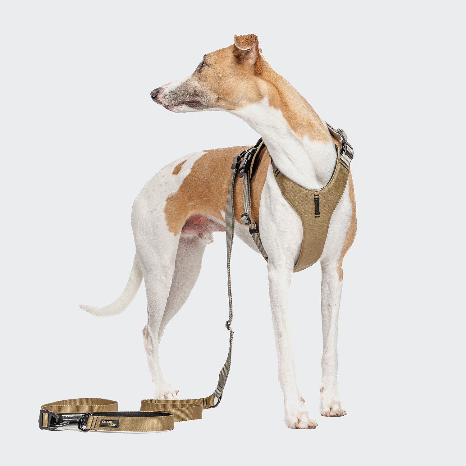 cloud7-l-1-freihandleine-aktiv-khaki-grey image 2