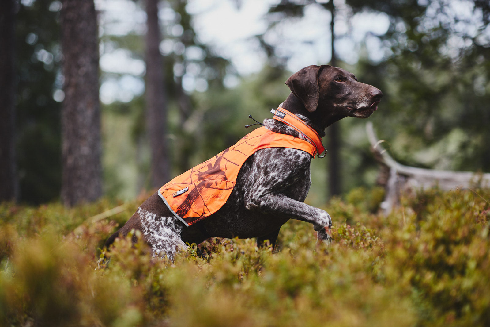 non-stop-dogwear-camo-cover-hunde-schutzweste image 4