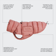 cloud7-dog-coat-alaska-faded-rose-extra-warmer-winter-hundemantel image 5