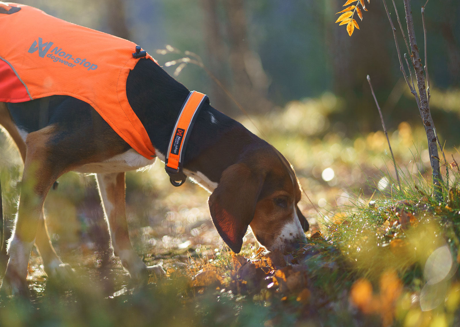 non-stop-dogwear-protector-collar-sicherheits-hundehalsband image 2