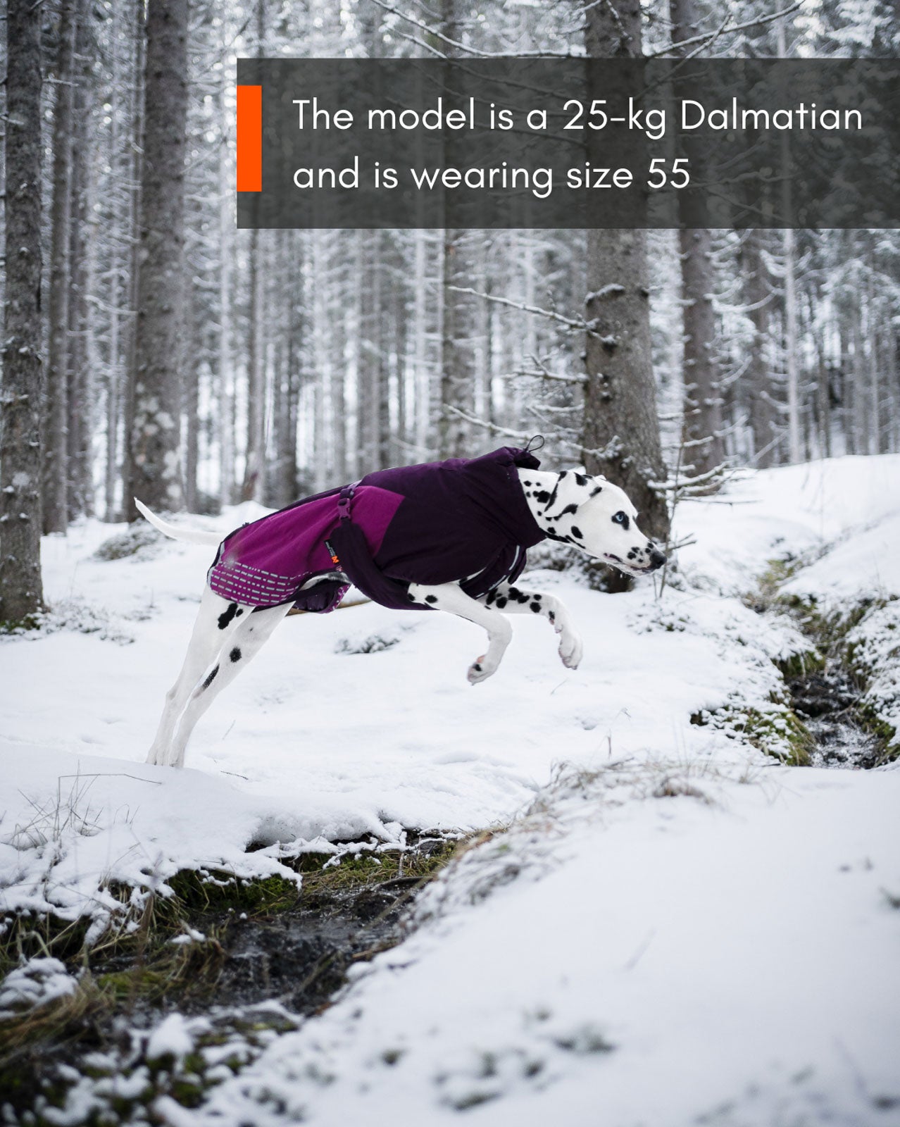 non-stop-dogwear-glacier-jacket-2-0-winterjacke-f-r-hunde image 7