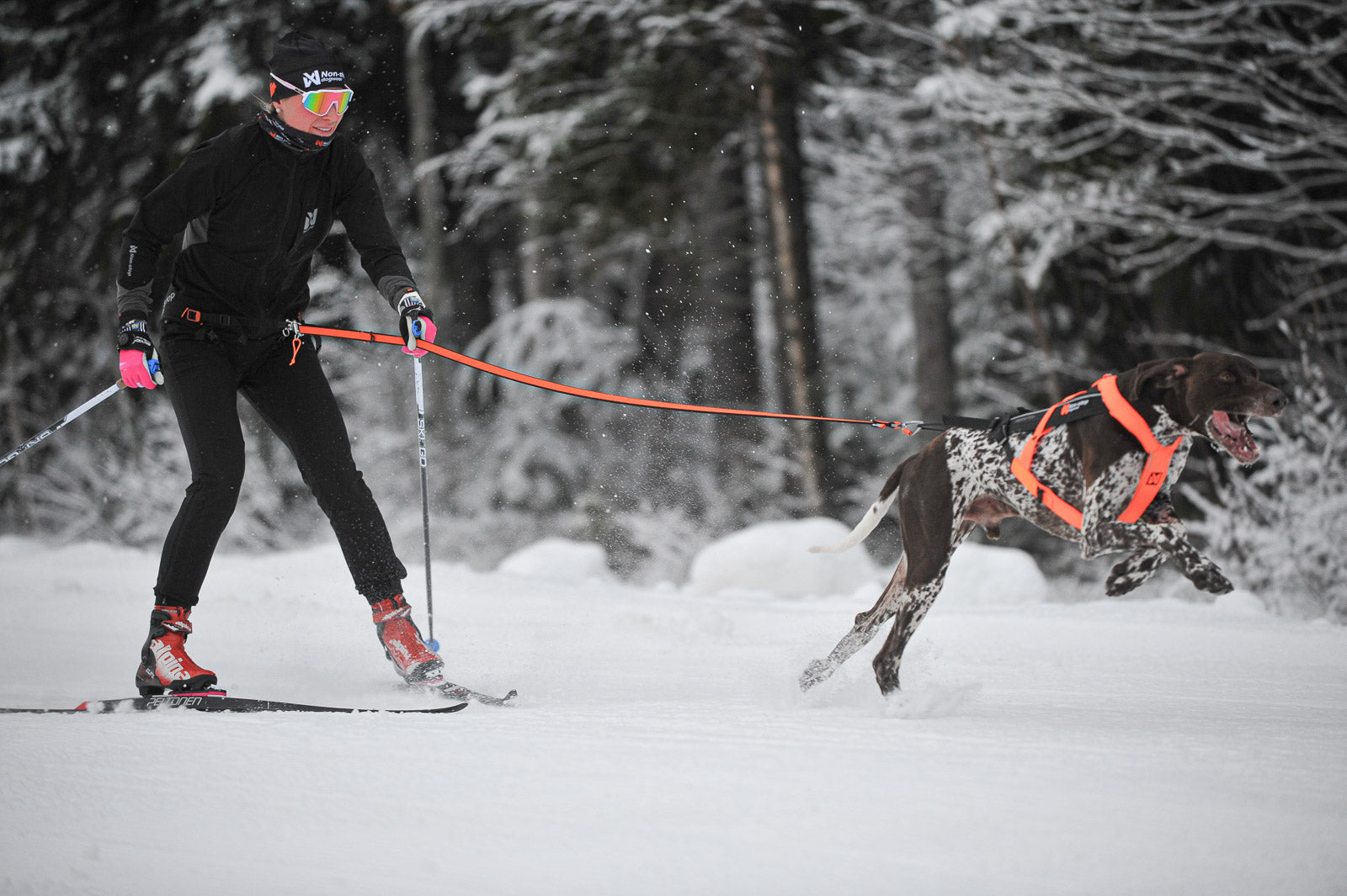 non-stop-dogwear-l-ype-belt-pro-leichtester-skij-ring-gurt-f-r-wettkampf-und-tra image 2