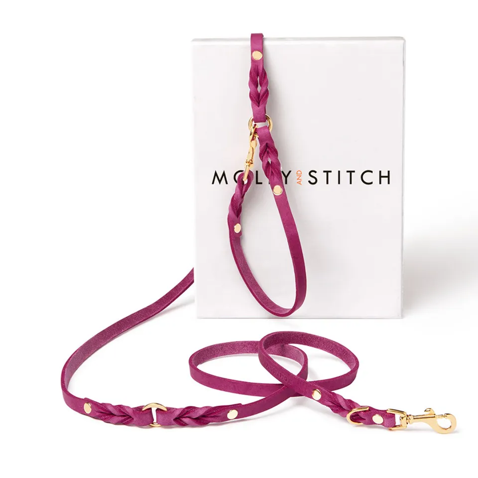 molly-and-stitch-butter-leather-3-fach-verstellbare-hundeleine-200-cm-flamingo image 1