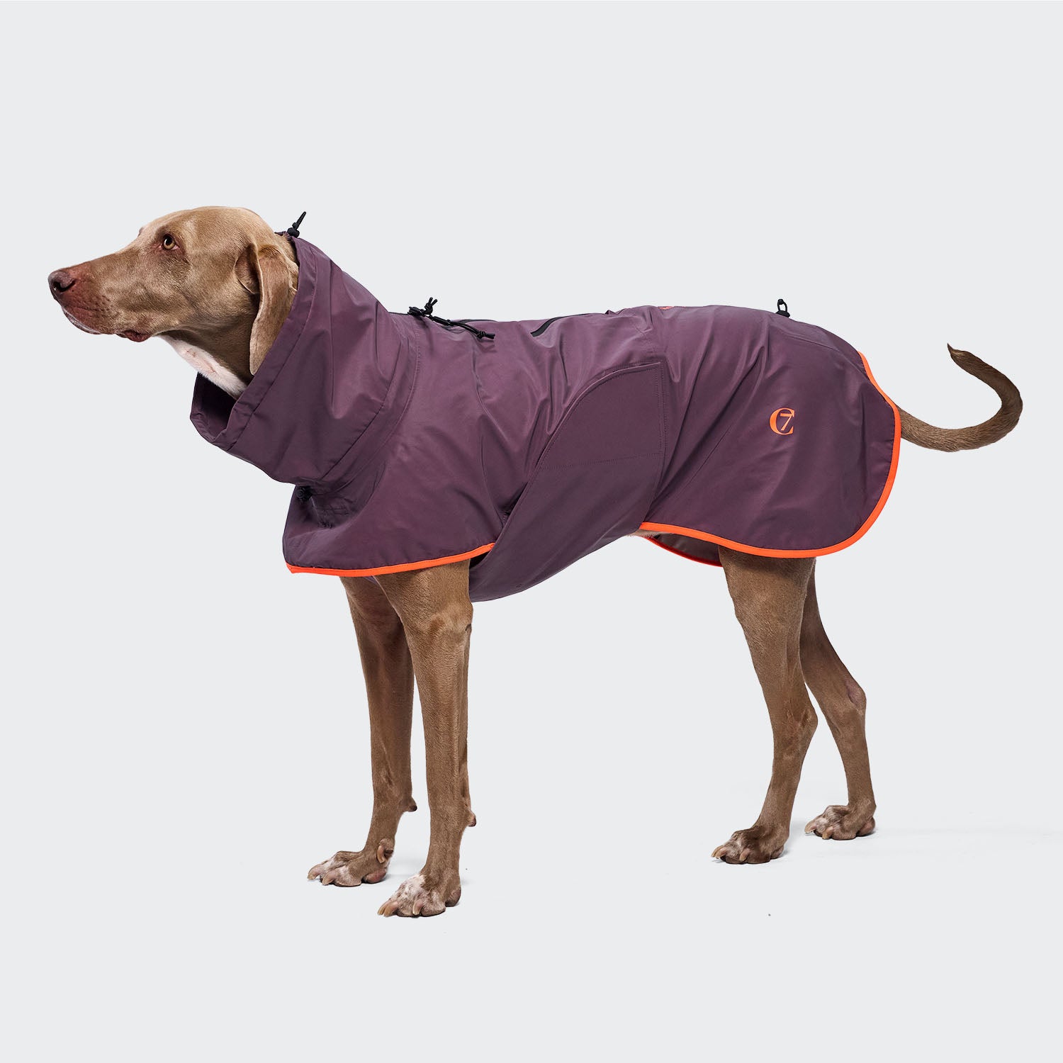 cloud7-aktiv-hunderegenmantel-aubergine-orange image 5