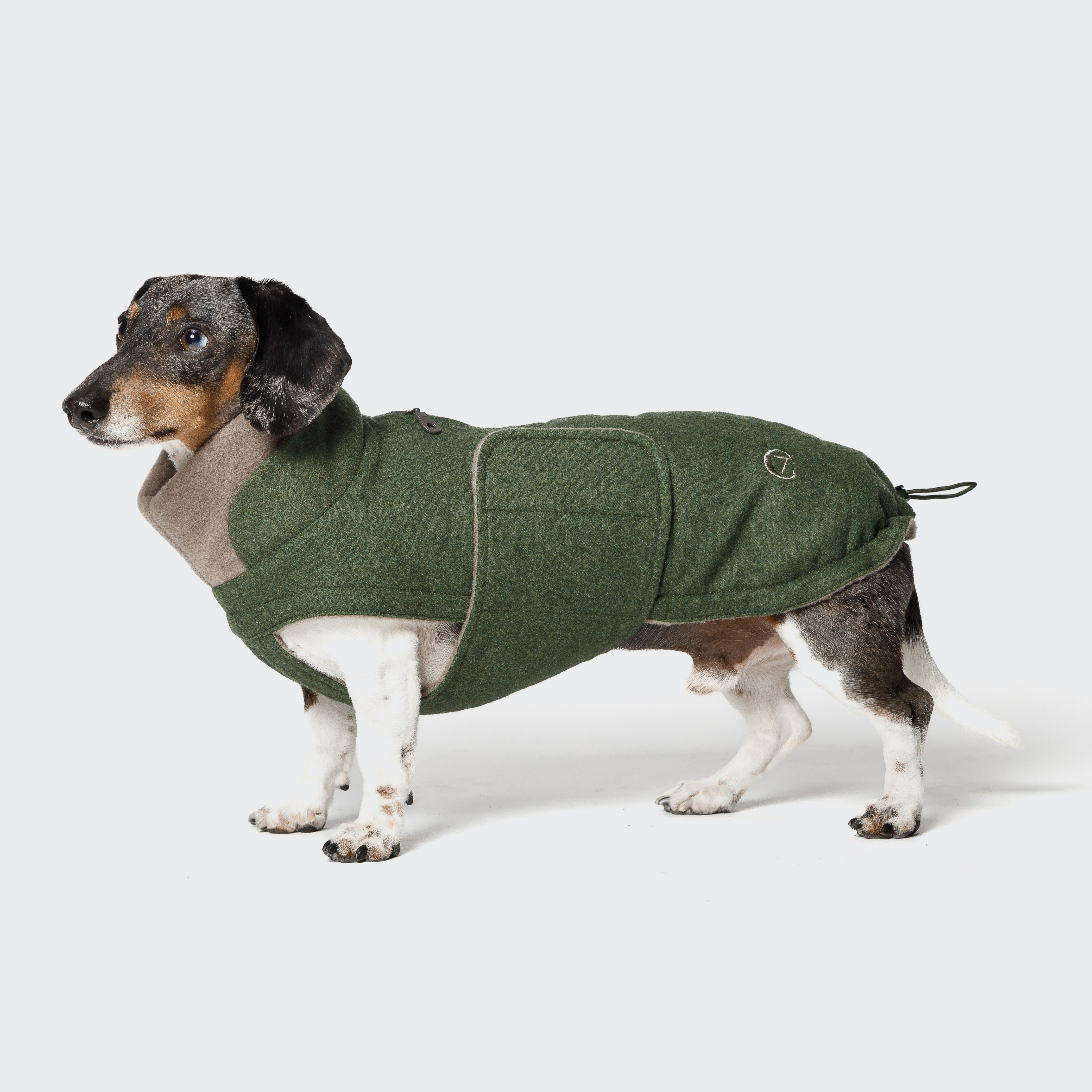cloud7-brooklyn-hundemantel-dackel-flanell-fern-green image 8