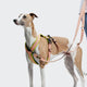 cloud7-y-1-harness-aktiv-air-mesh-peach image 5