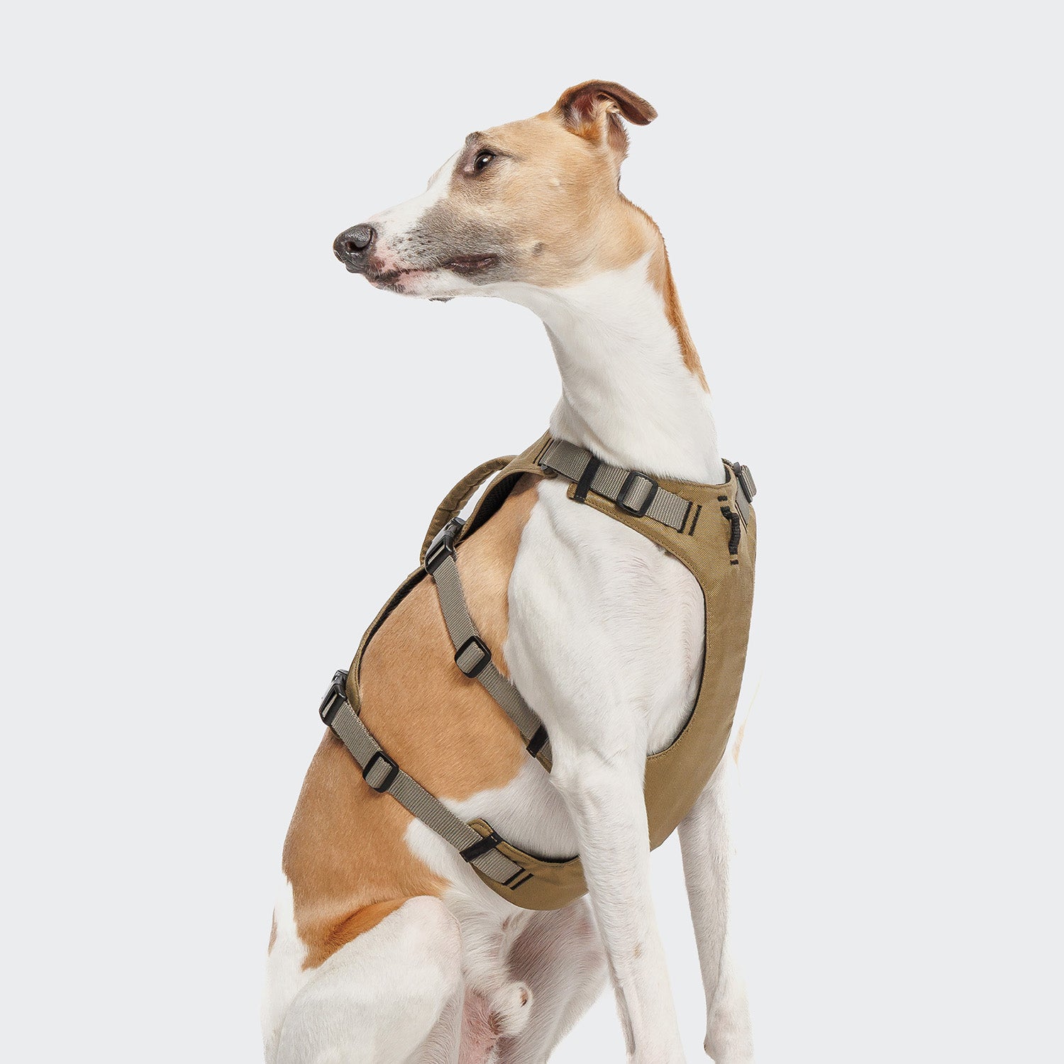 cloud7-y-safe-sicherheitsgeschirr-aktiv-khaki-grey-2 image 2
