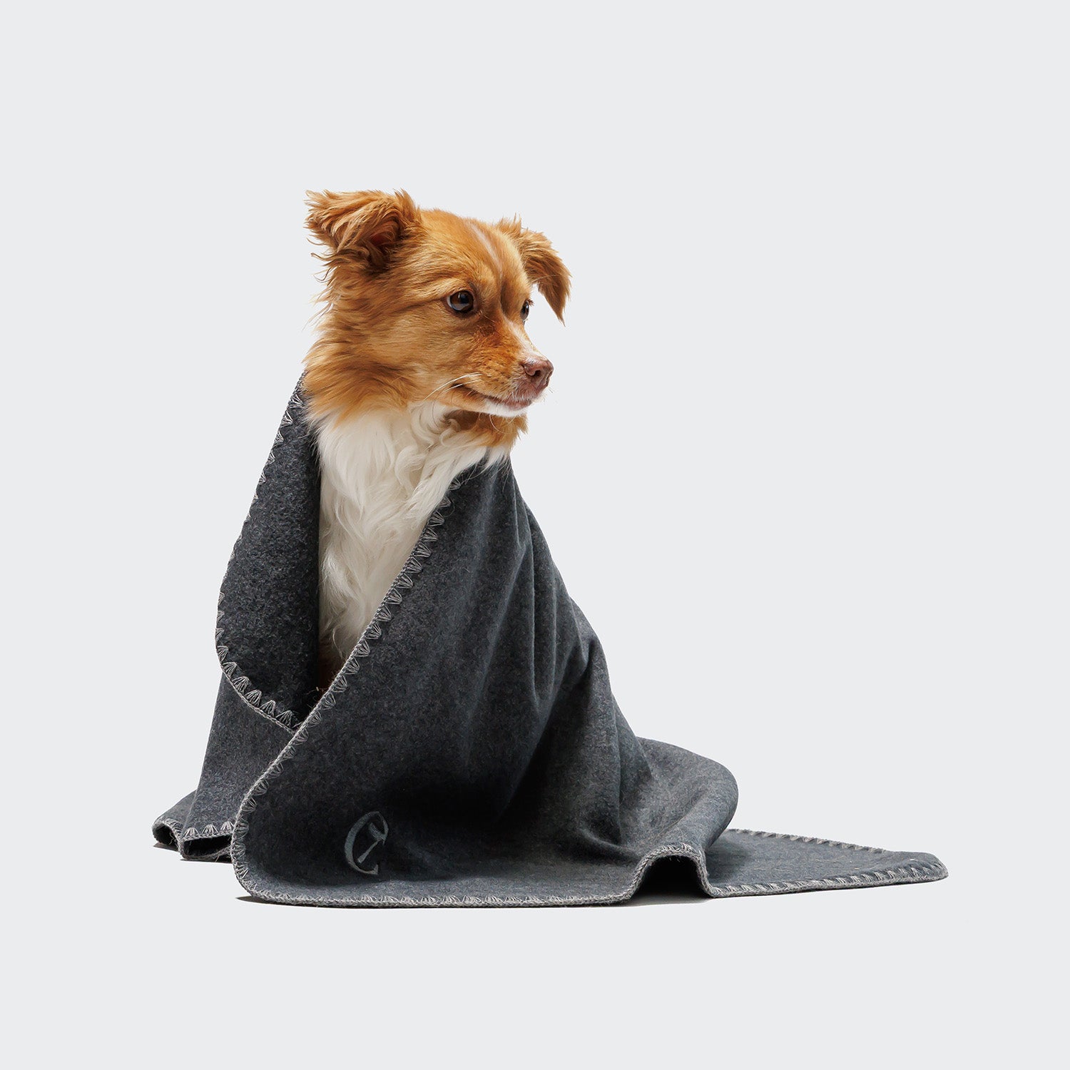 cloud7-hundedecke-soft-fleece-dark-grey-kuscheldecke-s-m-l image 3