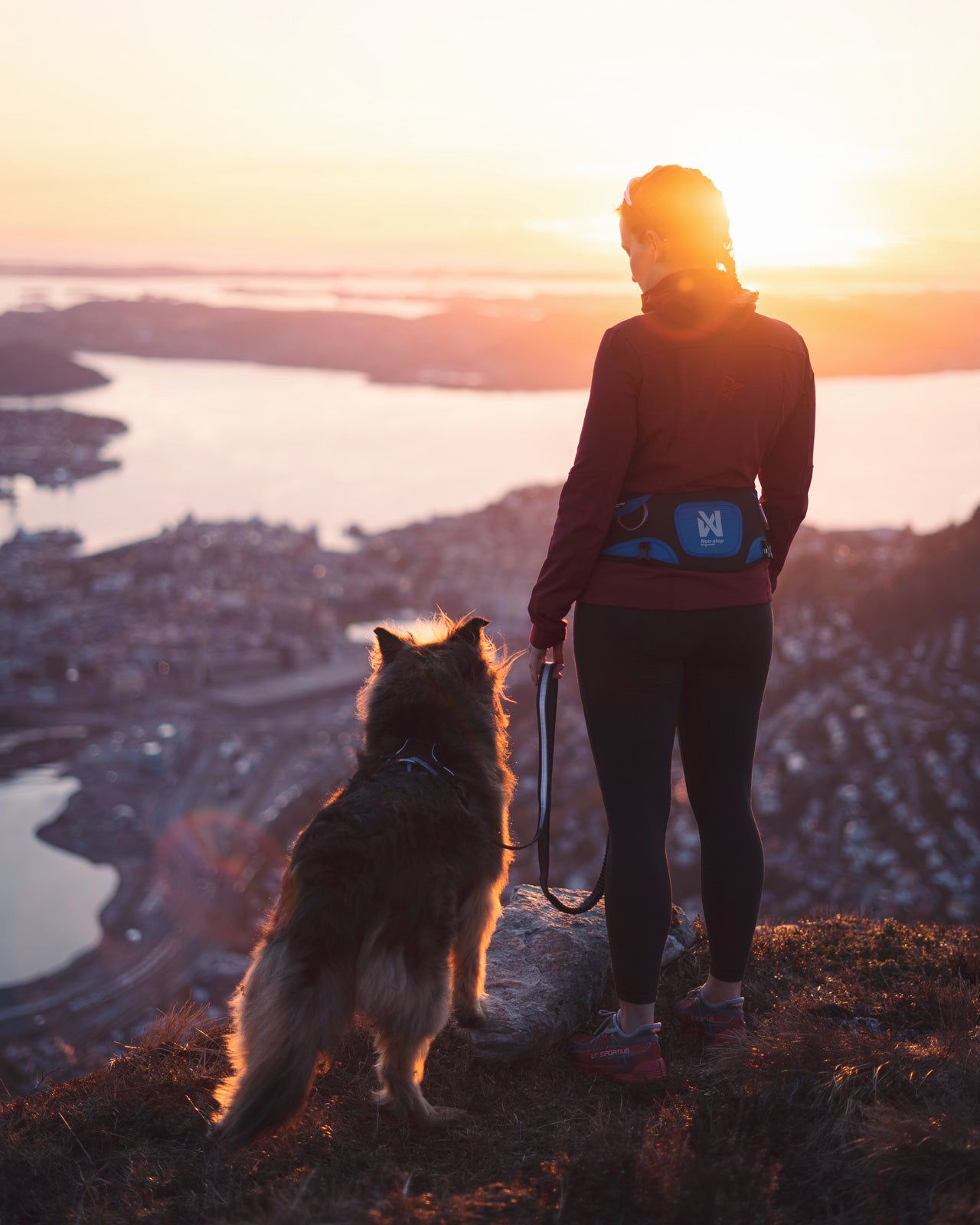non-stop-dogwear-ferd-belt-ergonomischer-h-ftgurt-f-r-canicross-skij-ring-und-tr image 3