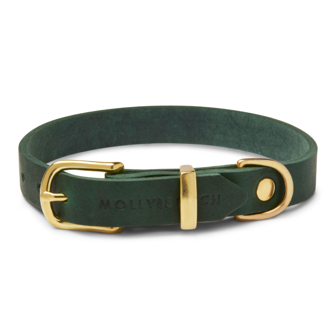 molly-and-stitch-butter-leather-hundehalsband-forest-green image 1