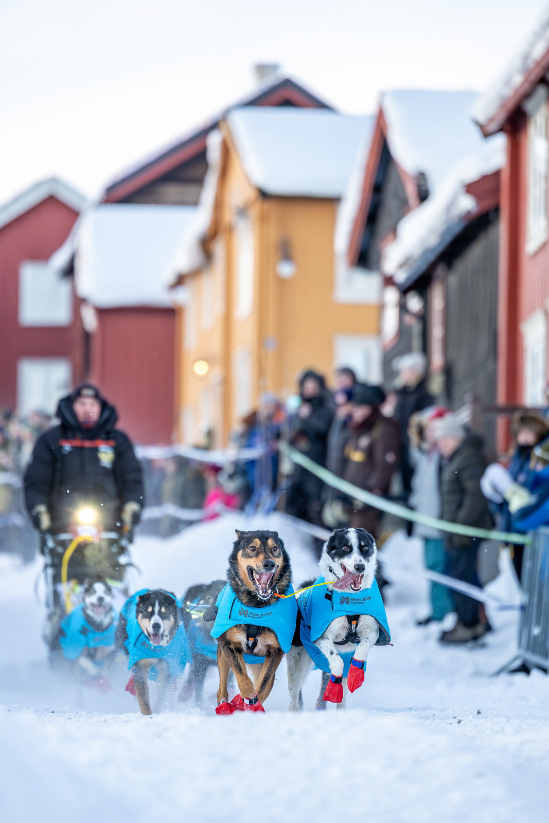 non-stop-dogwear-long-distance-light-jacket-hundemantel image 2