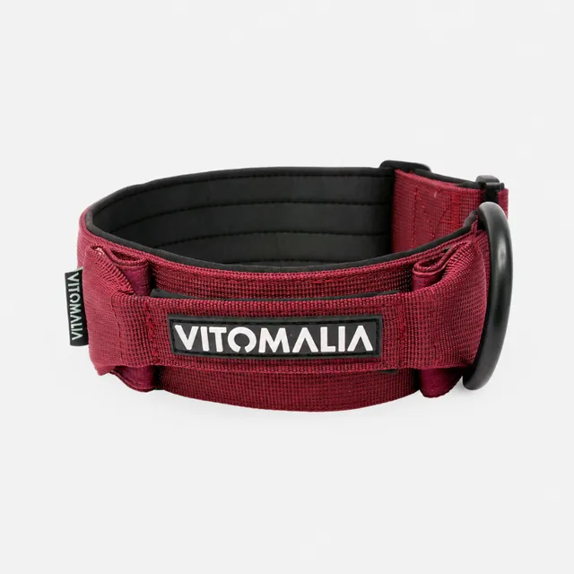 vitomalia-extreme-edition-hundehalsband-bordeaux-sicherheitsverschluss-magnet-ha image 1