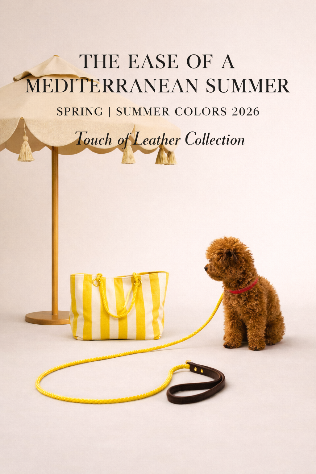 molly-and-stitch-maritime-hundeleine-mediterranean-sun-limited-edition image 2