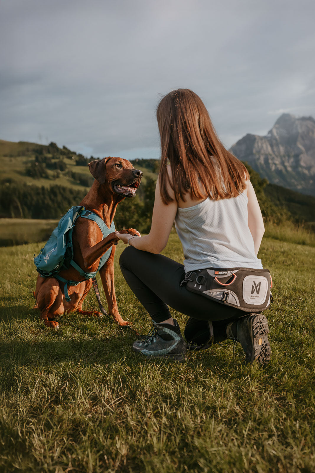 non-stop-dogwear-explore-belt-expedition-bauchgurt image 2