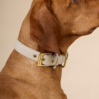 william-walker-glattleder-hundehalsband-almond-beige image 6