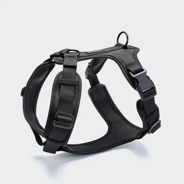 cloud7-aktiv-softshell-y-3-hundegeschirr-black image 1