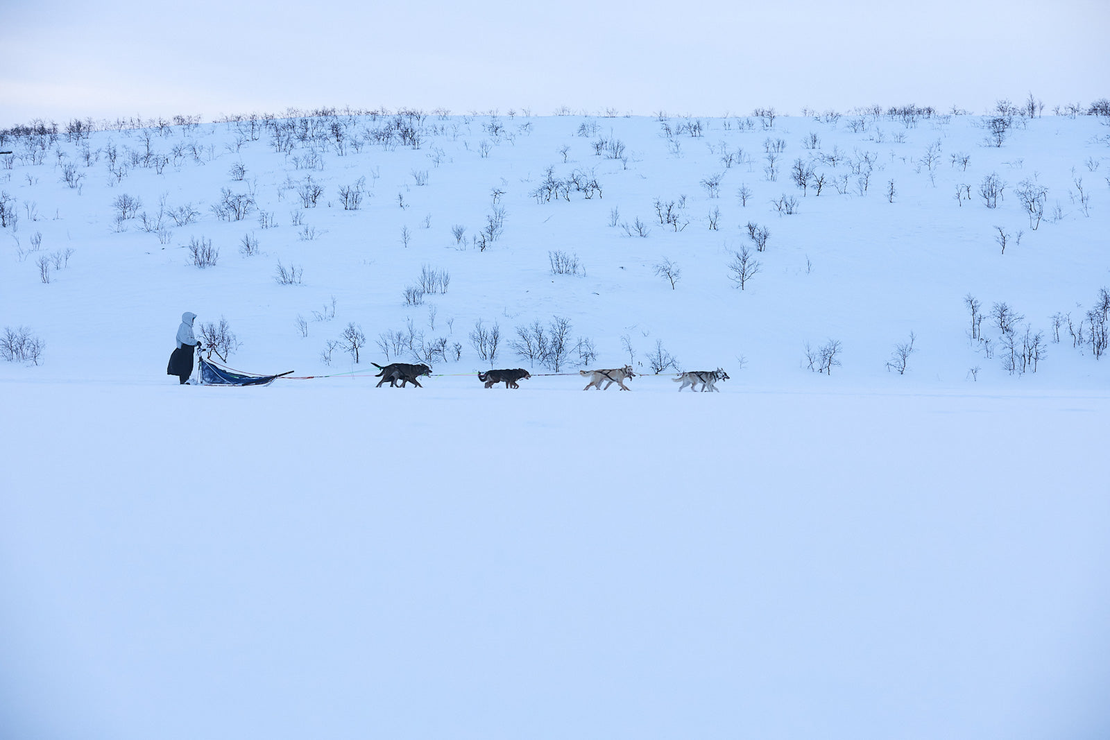 non-stop-dogwear-tundra-anojakka-2-0-musher-anorak image 4