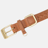 william-walker-leder-hundehalsband-prestige-caramel-braun-geflochten image 5