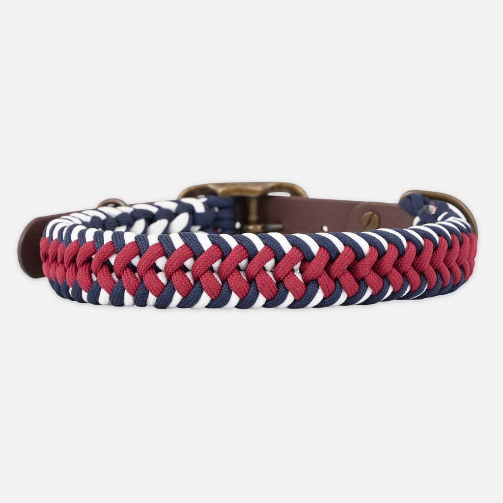 william-walker-paracord-biothane-hundehalsband-royal image 1