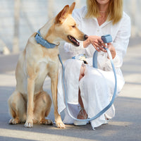 william-walker-leder-hundehalsband-sky-hellblau image 6