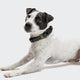 cloud7-hundehalsband-biothane-ipanema-black-olive image 2