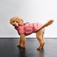 cloud7-dog-coat-alaska-faded-rose-extra-warmer-winter-hundemantel image 7