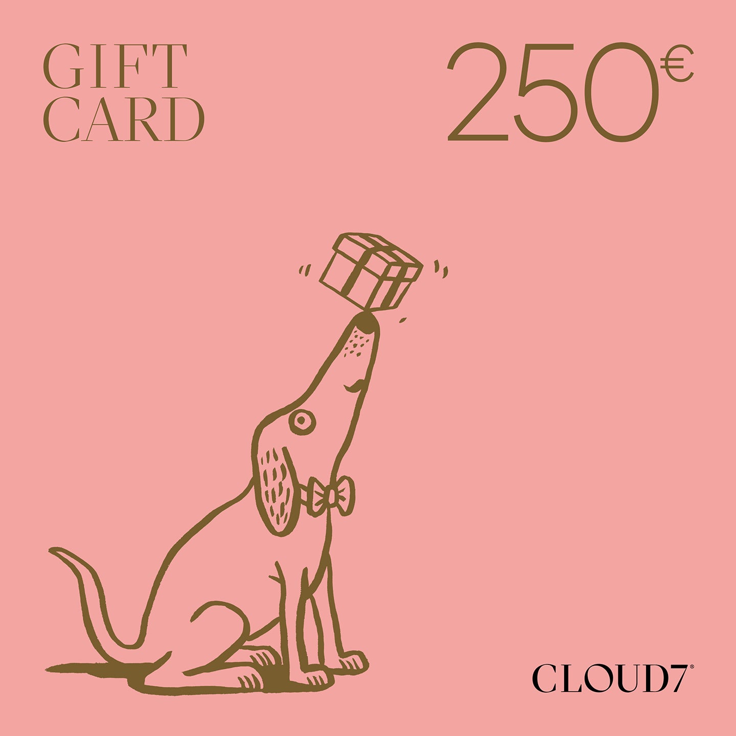 cloud7-geschenkgutschein-f-r-hundebedarf image 6