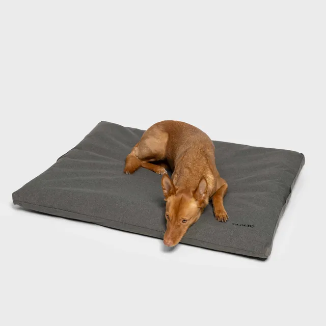 cloud7-outdoor-hundebett-siesta-light-graphite image 1