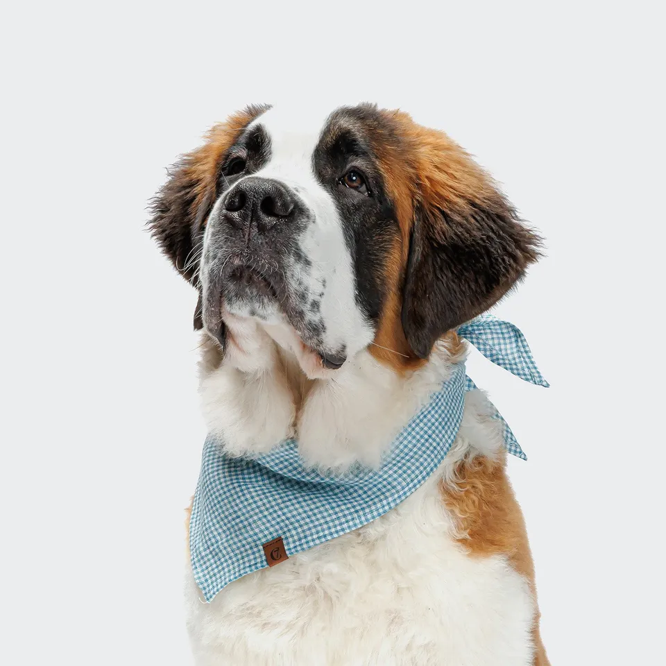 cloud7-hundehalstuch-bandana-mini-check-blue-leinen-blau-wei-kariert image 1