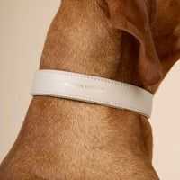 william-walker-glattleder-hundehalsband-almond-beige image 5