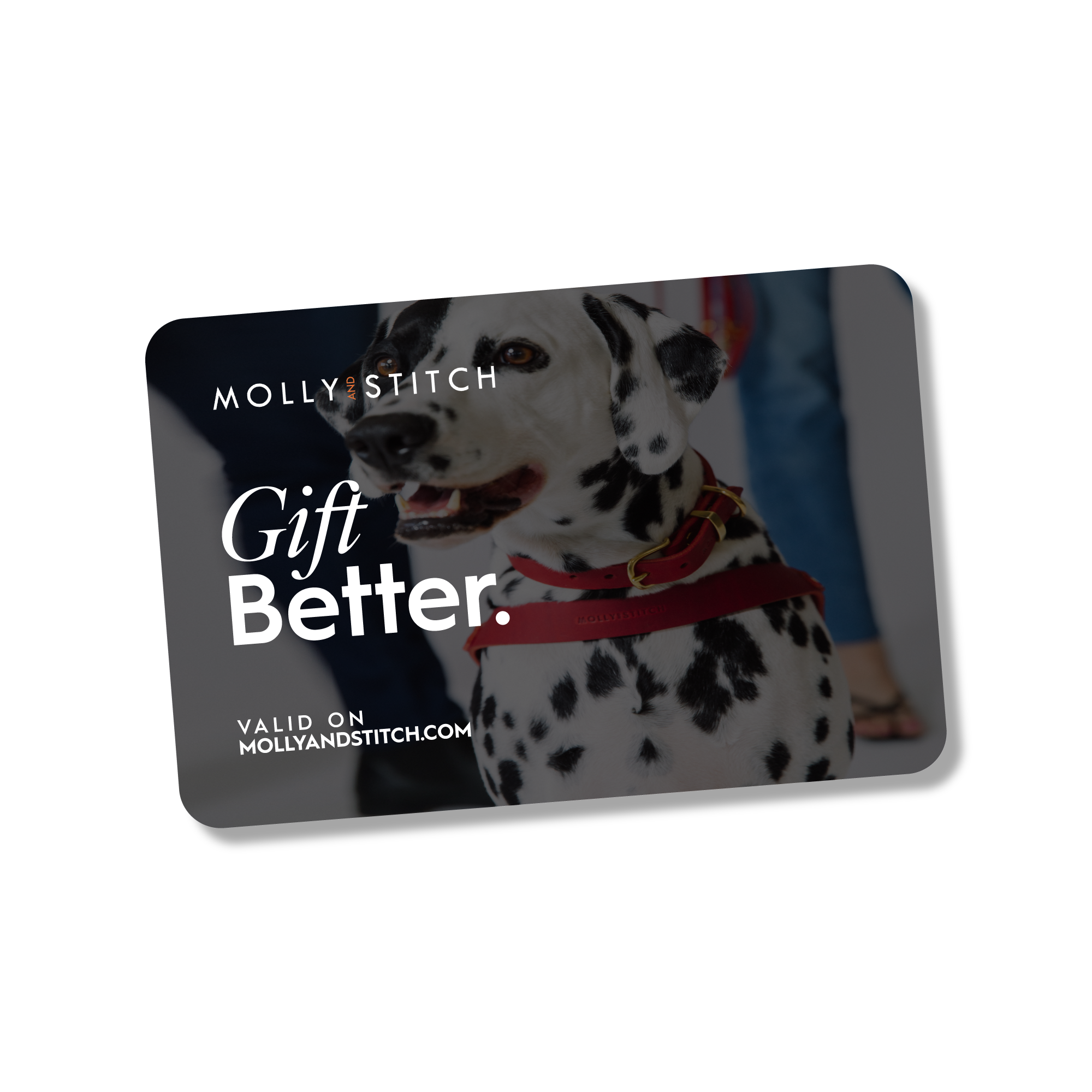 molly-and-stitch-geschenkgutschein-gift-card image 1