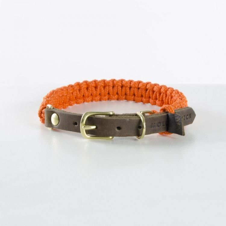 molly-and-stitch-touch-of-leather-hundehalsband-pumpkin image 1