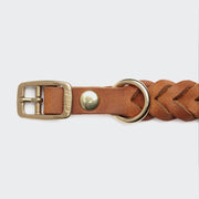 cloud7-central-park-hundehalsband-camel-gold-leder-geflochten image 4