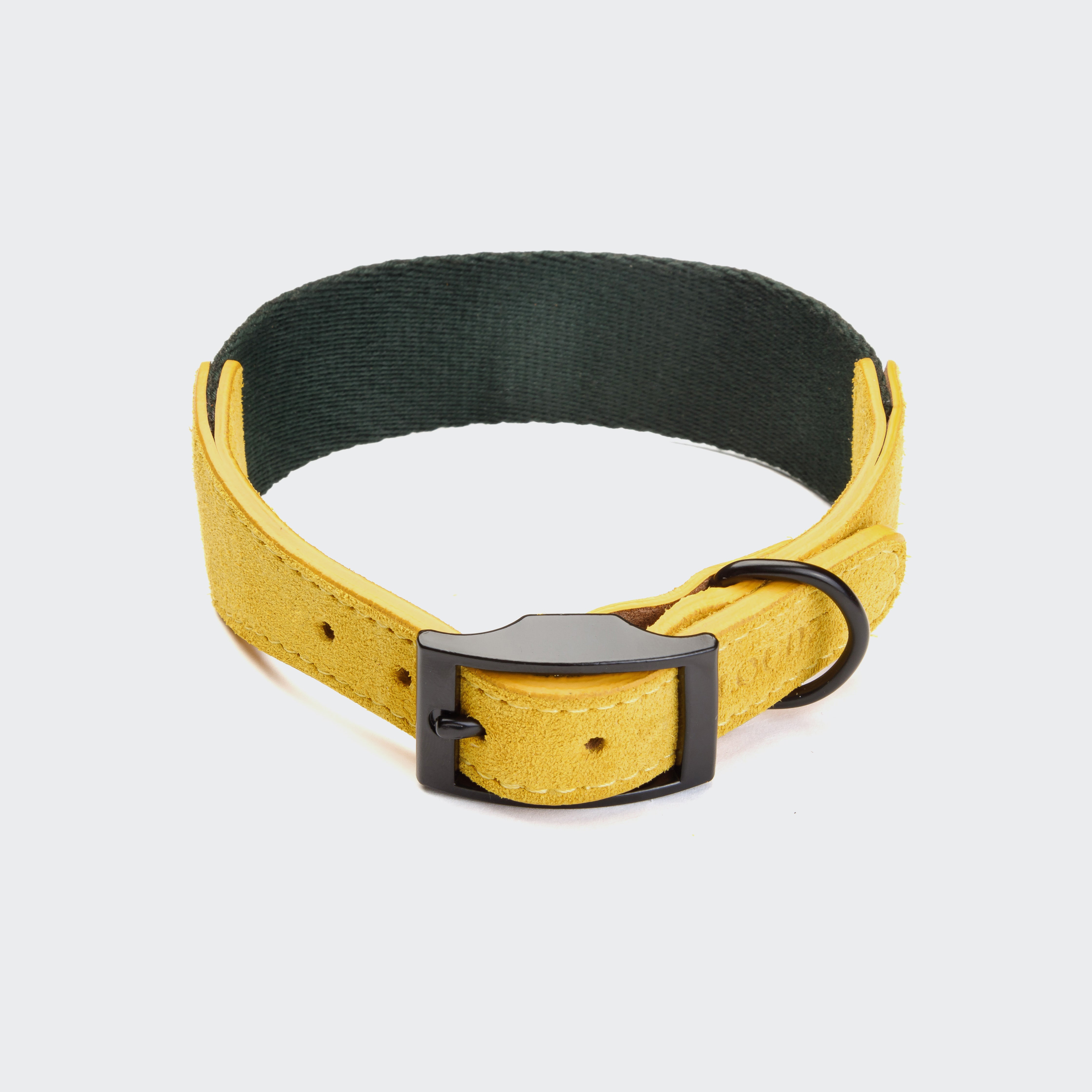 cloud7-maksimir-park-hundehalsband-wide-green-yellow image 4