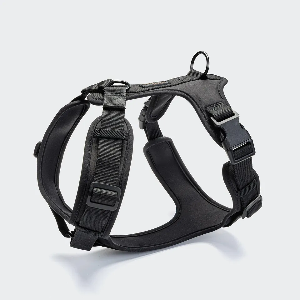 cloud7-aktiv-softshell-y-3-geschirr-black image 1