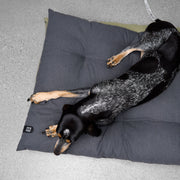 cloud7-resc7ue-dog-pillow-anthra-waschbares-hundebett image 3