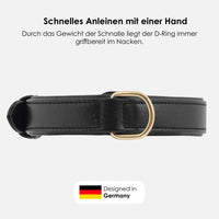 william-walker-leder-hundehalsband-noir-schwarz image 4