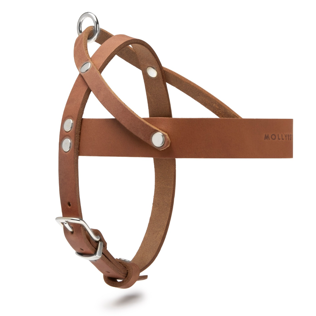 molly-and-stitch-butter-leather-hundegeschirr-sahara-cognac image 4