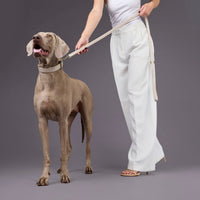 william-walker-prestige-leder-hundehalsband-almond-beige image 6