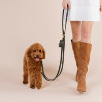 william-walker-prestige-forest-hundeleine-aus-leder-dunkelgr-n-2 image 5