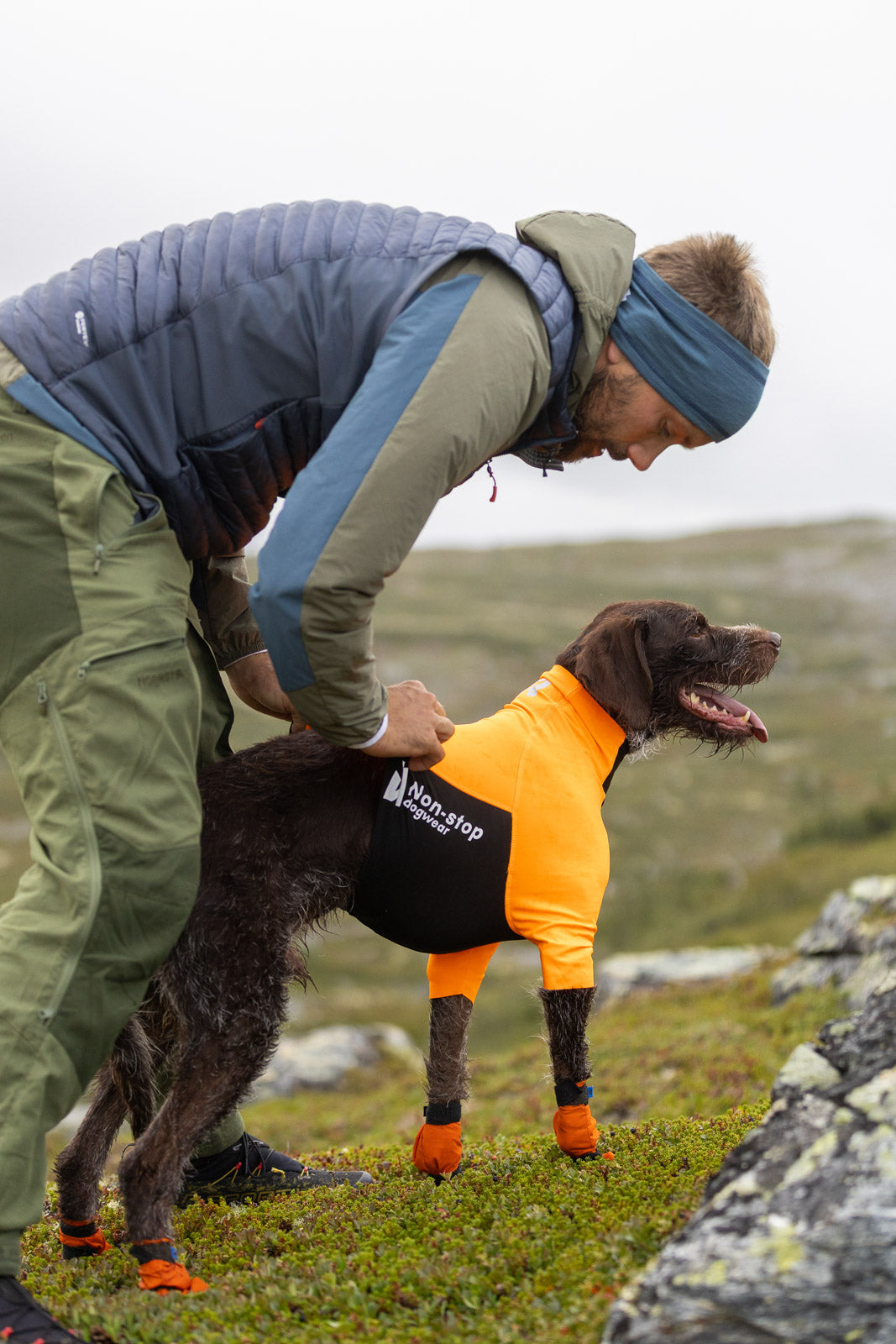 non-stop-dogwear-protector-half-suit-hunde-t-shirt image 2