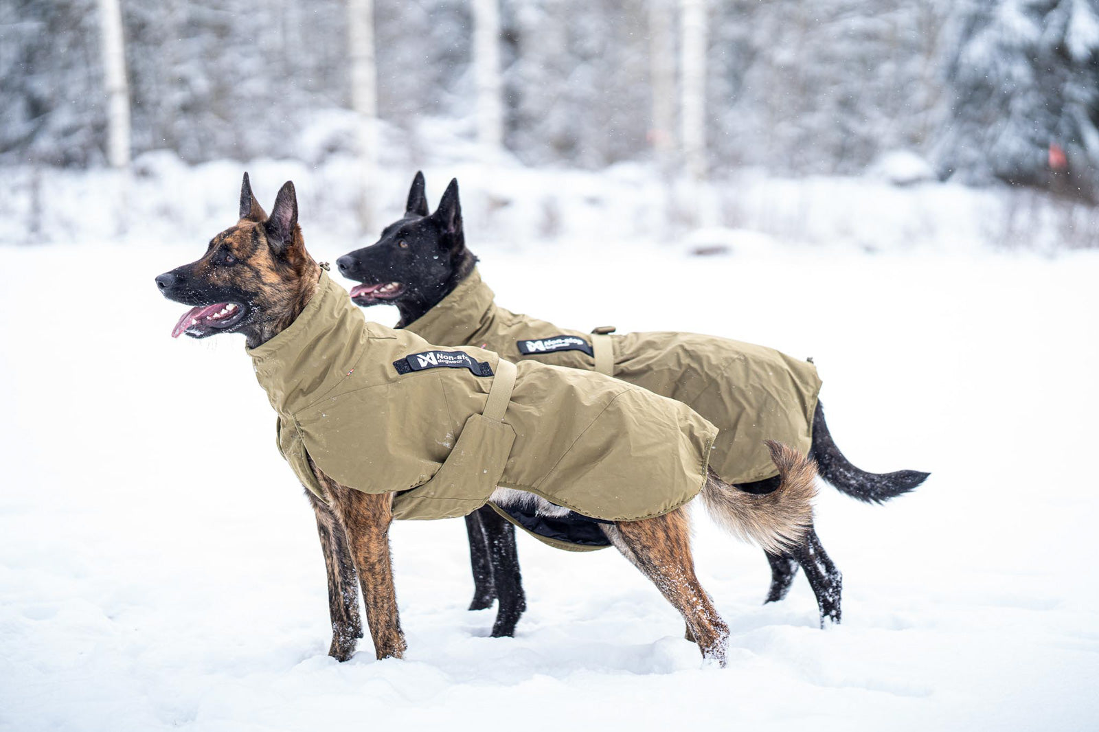 non-stop-dogwear-glacier-dog-jacket-wd-winter-hundemantel image 3