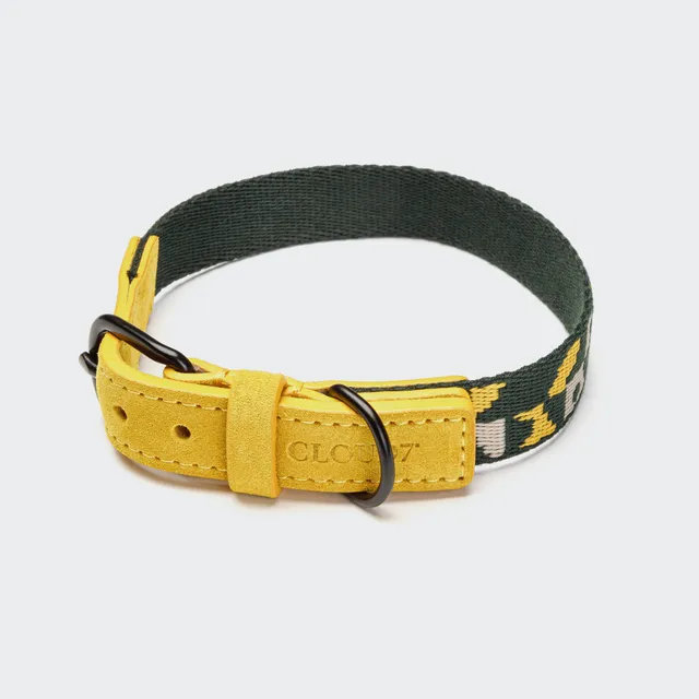 cloud7-hundehalsband-maksimir-park-green-yellow image 1
