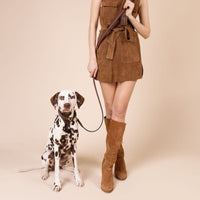 william-walker-florence-limited-leder-hundeleine-mit-messing image 4