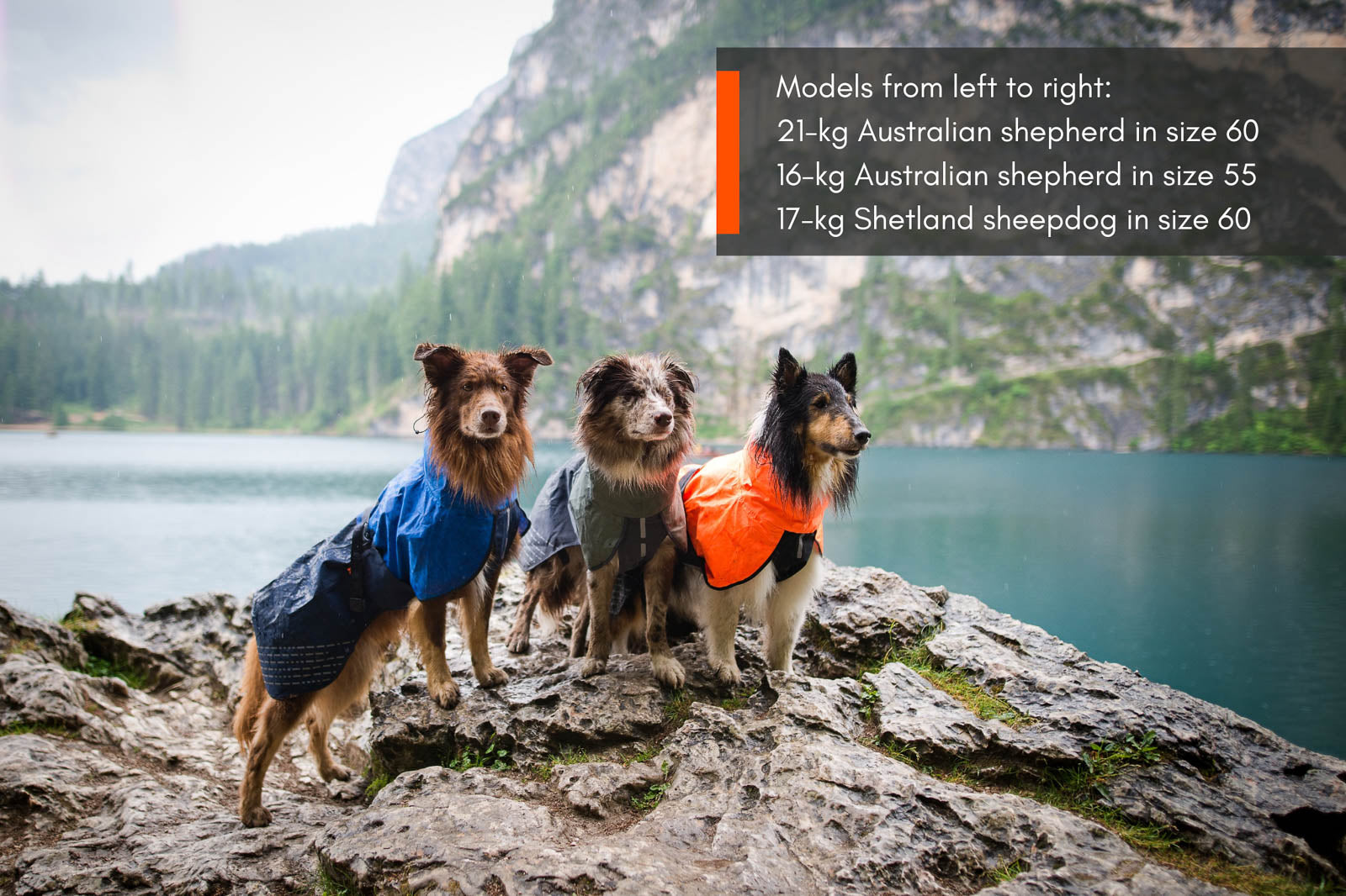 non-stop-dogwear-fjord-raincoat-hunderegenmantel image 8
