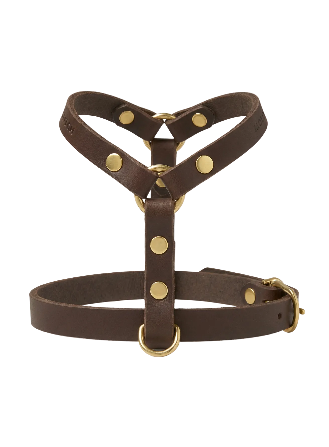 molly-and-stitch-butter-leather-y-geschirr-classic image 1